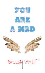 You Are a Birdy is an inspirational fiction book by Breezy Van Lit